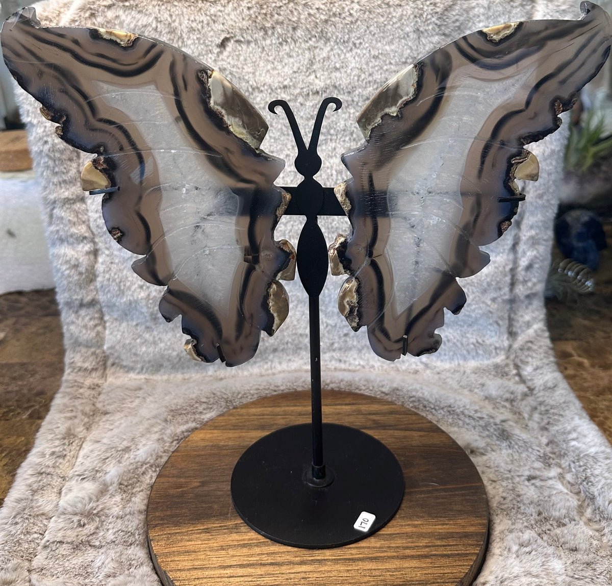 Volcano Agate Butterfly