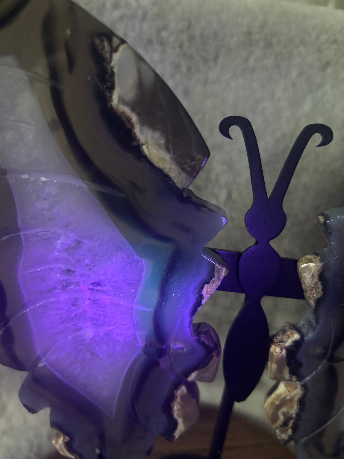 Volcano Agate Butterfly